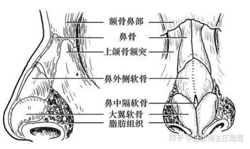 鼻中隔偏曲的治疗方法有哪些?