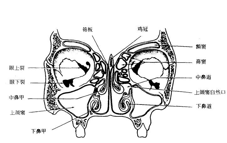 在成都仁品做完鼻甲肥大手术要注意什么?