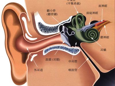 成都神经性耳聋怎么治疗